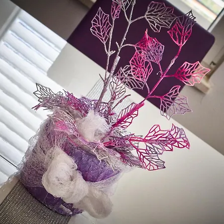 公寓 Milijana 奥瑞比克