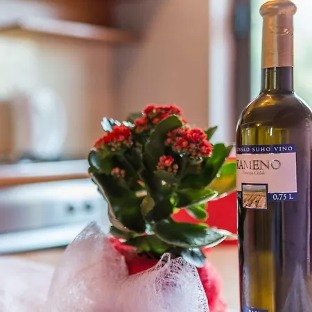 Lejlighed Milijana *